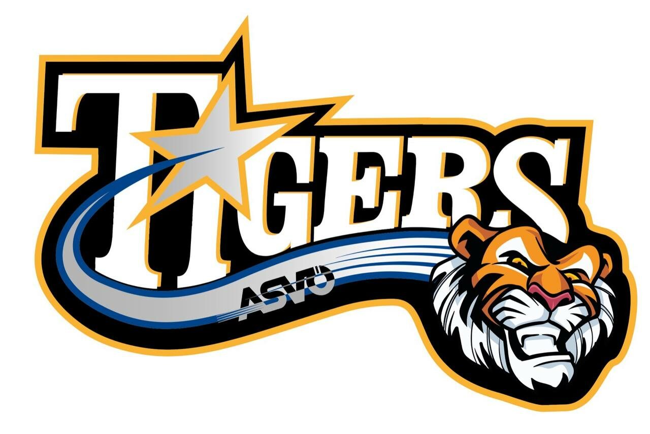 Basketball Tigers